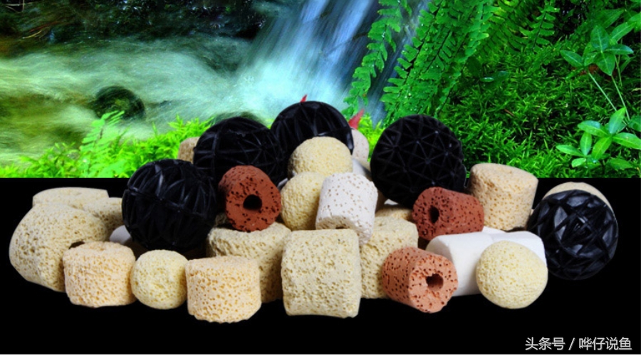 鱼缸滤材需要定期更换吗,兰寿更换鱼缸滤材的正确方法