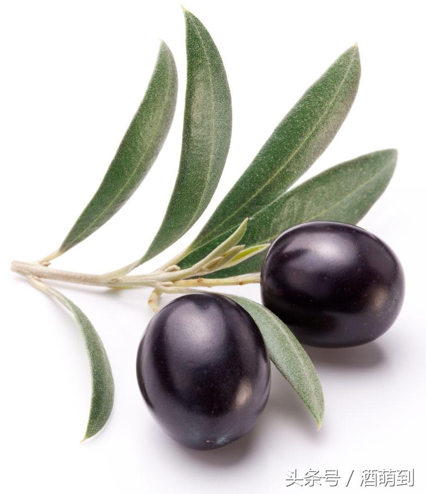 涨知识了：黑橄榄泡酒还能去痘，黑橄榄的功效与作用