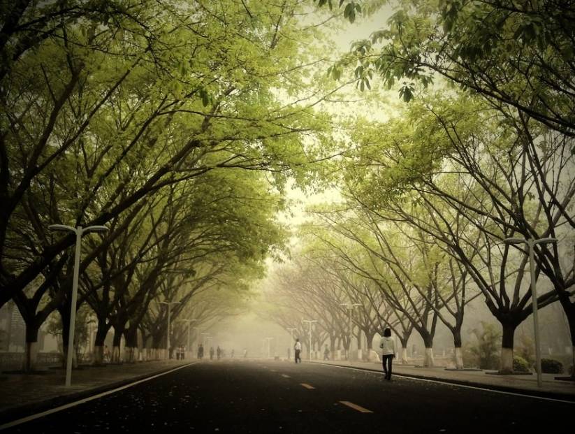 词风雅韵浪淘沙,词风雅韵