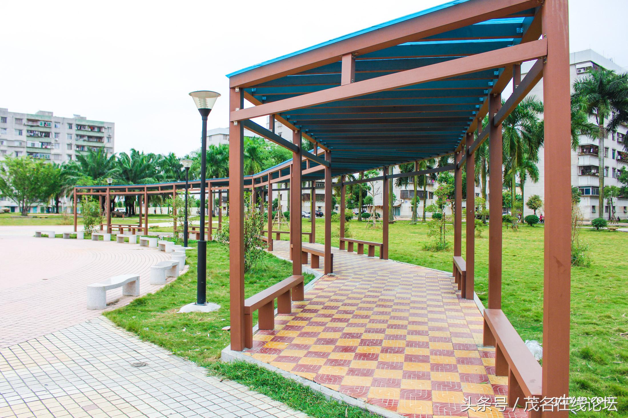 江东花园最好小区,发现我们身边的美