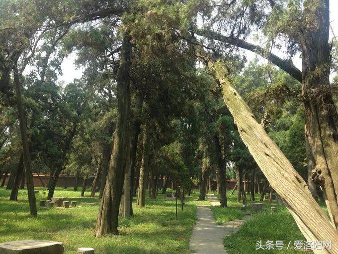 孟津是属于什么地方的,为什么叫延津孟津