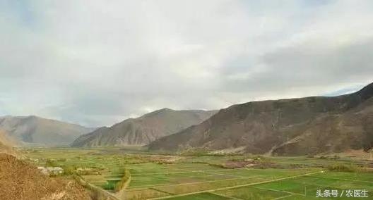 土地流转到底是谁在受益呢,土地流转如何获利