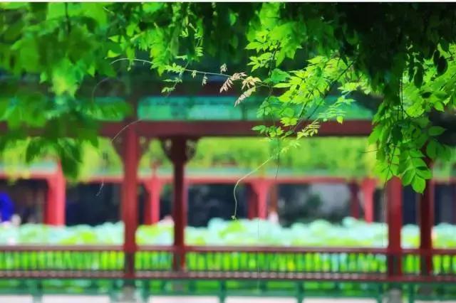 深圳龙岗周边游玩景点推荐,深圳及周边亲子游好去处