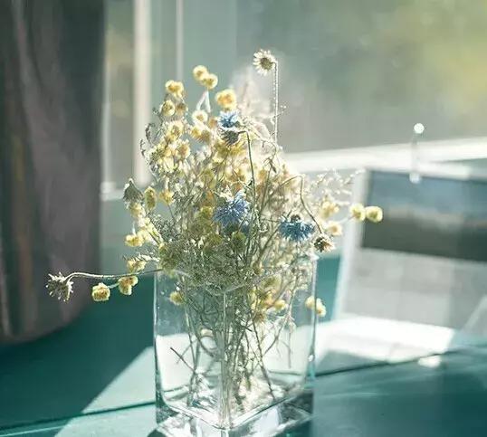 怎么把鲜花做成标本不会枯萎,透明树脂胶怎么制作鲜花标本