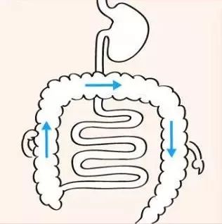 清晨喝水清理肠道垃圾最好的方法,清理肠道垃圾最快的办法是什么