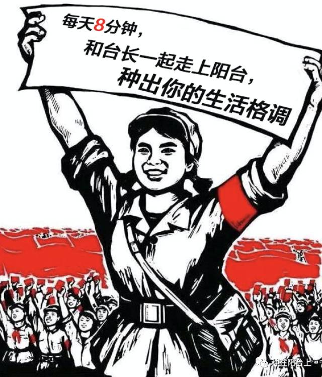 艳慕地中海风格的蔷薇鲜花拱门吗？十步骤即可在你家阳台上实现！