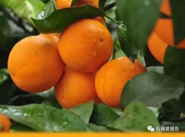 一天能赚几百块的副业,有没有每天可以赚300的兼职