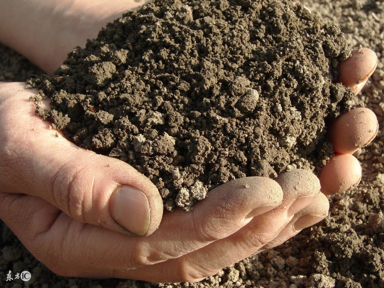 金木水火土命属相查询,金木水火土你属什么