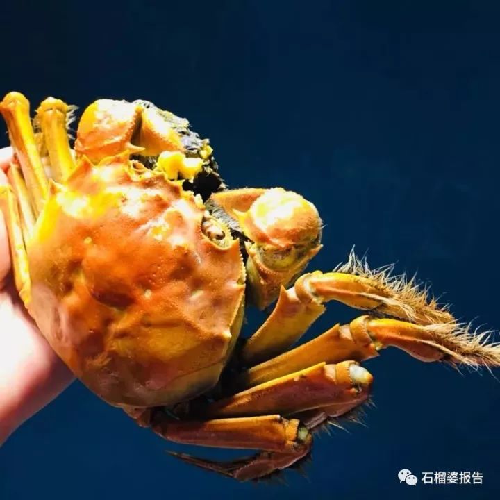 有什么兼职一天能赚30到50块,一天能赚几百万的工作