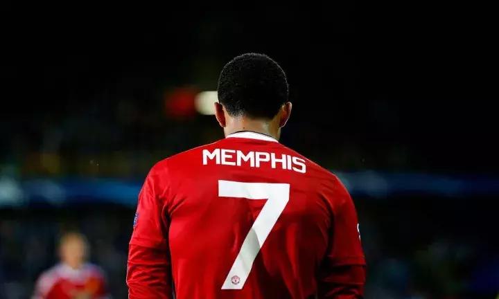 寒风中等待绽放的郁金香——孟菲斯·德佩