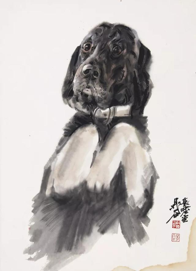 画十二生肖里的狗,晁谷画猫