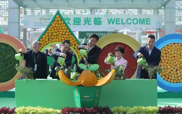 2023住博会,住博会广州