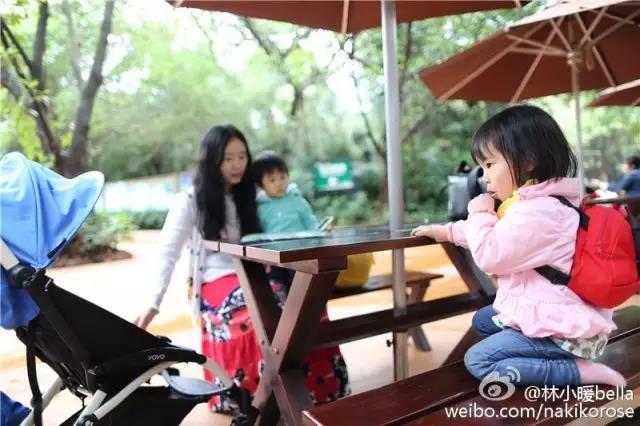 广州长隆亲子游最省钱攻略,广州长隆亲子游最全游玩攻略