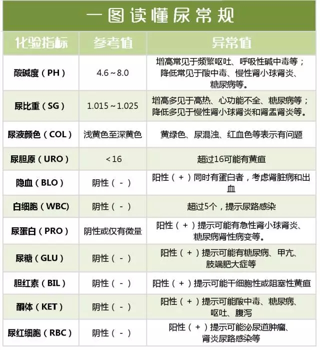 10秒教你读懂尿检,关于尿检的10个常识