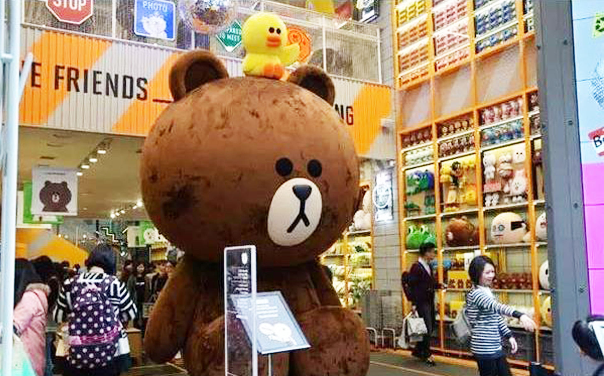 双十二购物避坑指南,双十二购物攻略