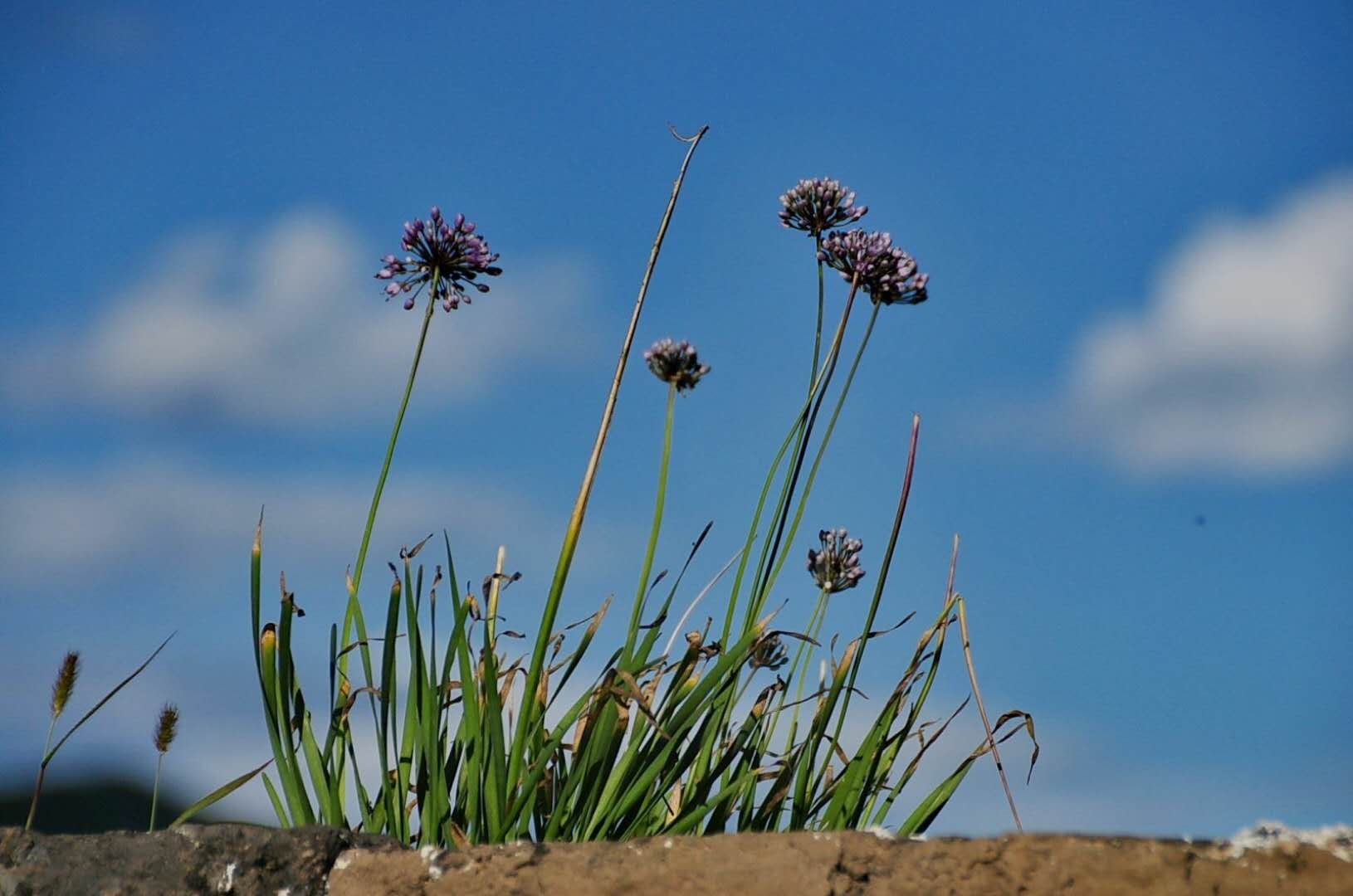 万里长城九眼楼,万里长城第一楼九眼楼