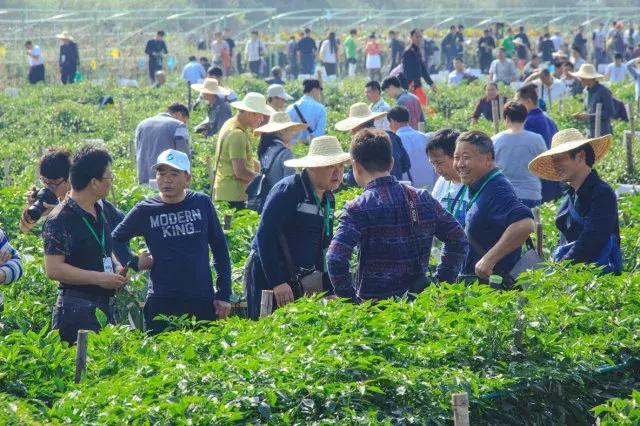 2023住博会,住博会广州