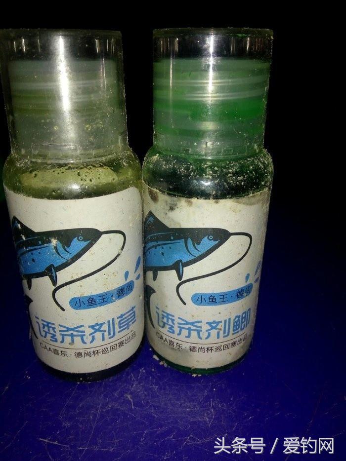 钓鱼小药攻略，湖南钓友全测评（下）