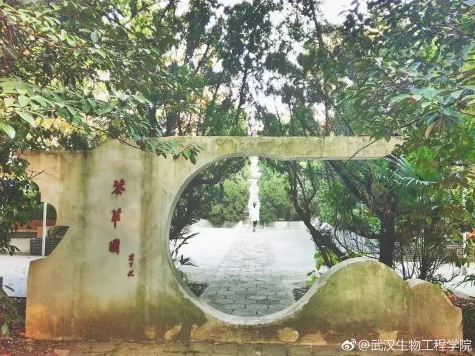 武汉地铁2号线有什么玩的,武汉哪条地铁线最方便