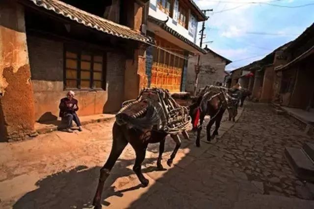 我美丽的家乡弥渡,我的家乡弥渡作文