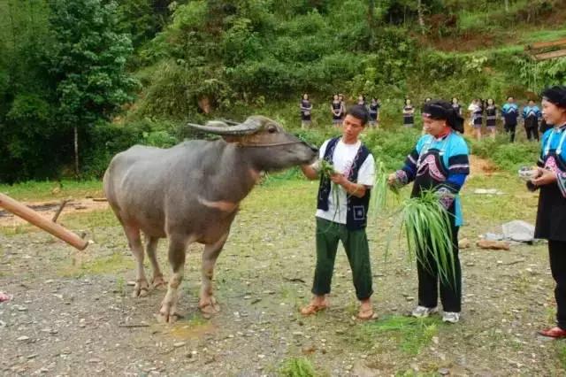 中国云南河口口岸,百年通商口岸