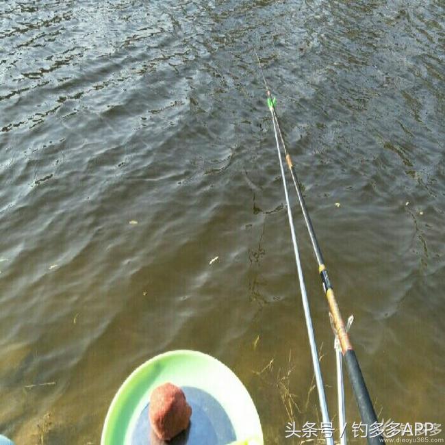 冬钓封竿,冬钓鲫鱼爆护