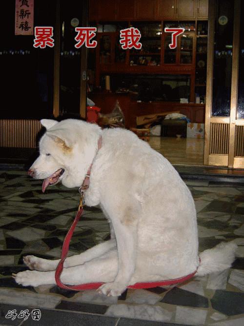 7-11便利店是日本的吗,7-11便利店为什么那么贵