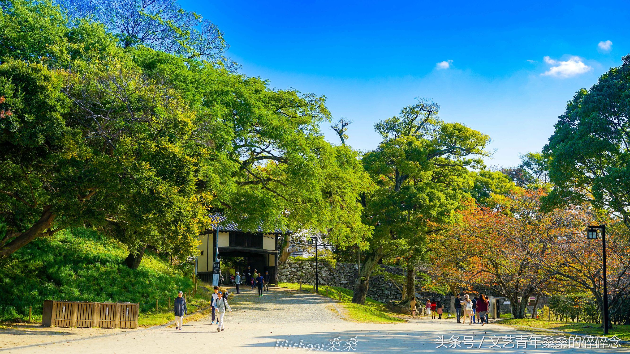 诺唯真邮轮喜悦号攻略,诺维真喜悦号日本游