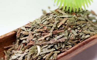 侧柏叶的功效与作用侧柏叶酒的酿酒配方