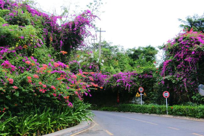 三亚市最美的景色拍摄,拍摄美丽三亚