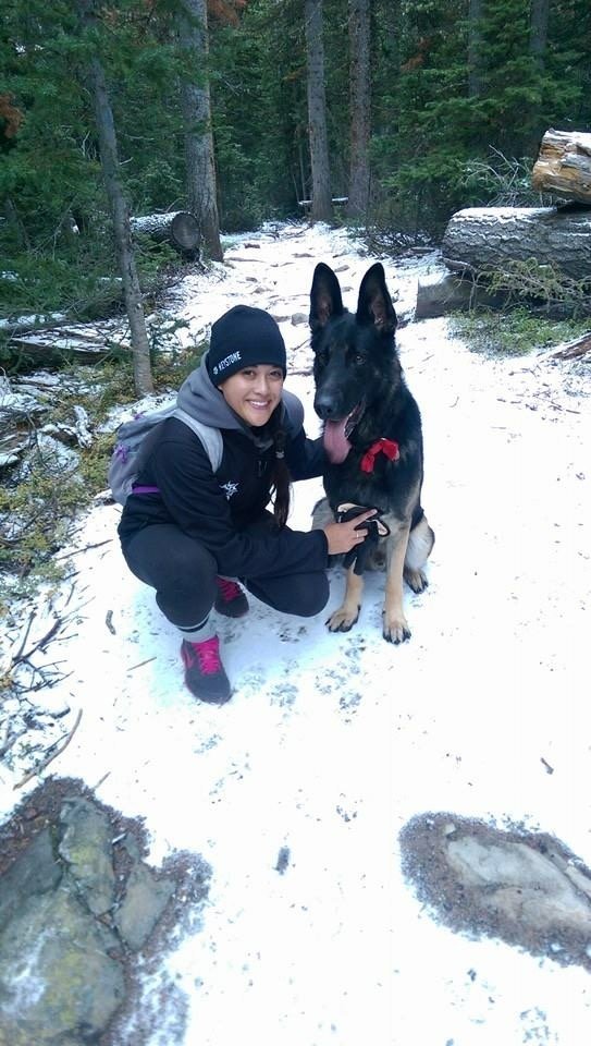 反差萌！怕嚇到路人主人帮温柔狼犬戴蝴蝶结