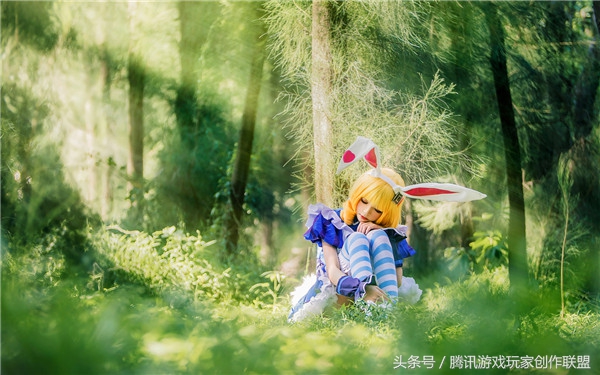 妲己cosplay爱丽丝,cosplay妲己爱丽丝梦游仙境