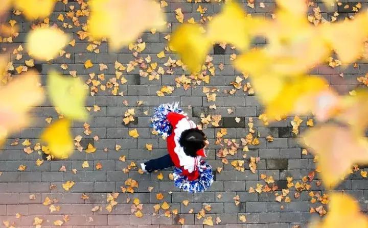 江西省上栗中学排名,江西省教育厅上栗中学