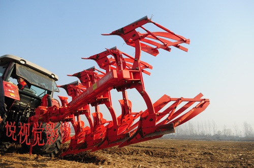 还没有过头条号新手期的朋友看过来,25天转正菜鸟我只做了5件事