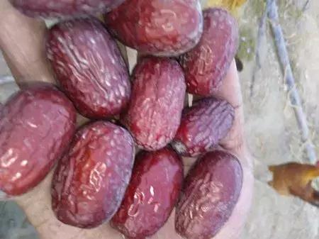 最新农产品供求信息,大农圈最新文章