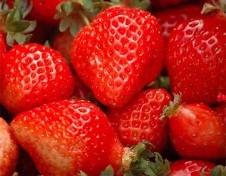 最新农产品供求信息,大农圈最新文章