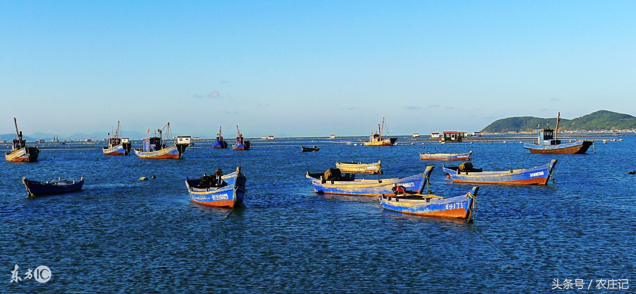 长岛渔家乐口碑排名,长岛本地旅游渔家乐推荐