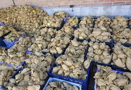 最新农产品供求信息,大农圈最新文章