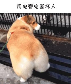 女人上辈子都是福尔摩斯吗,每一个女人都有当福尔摩斯的潜质