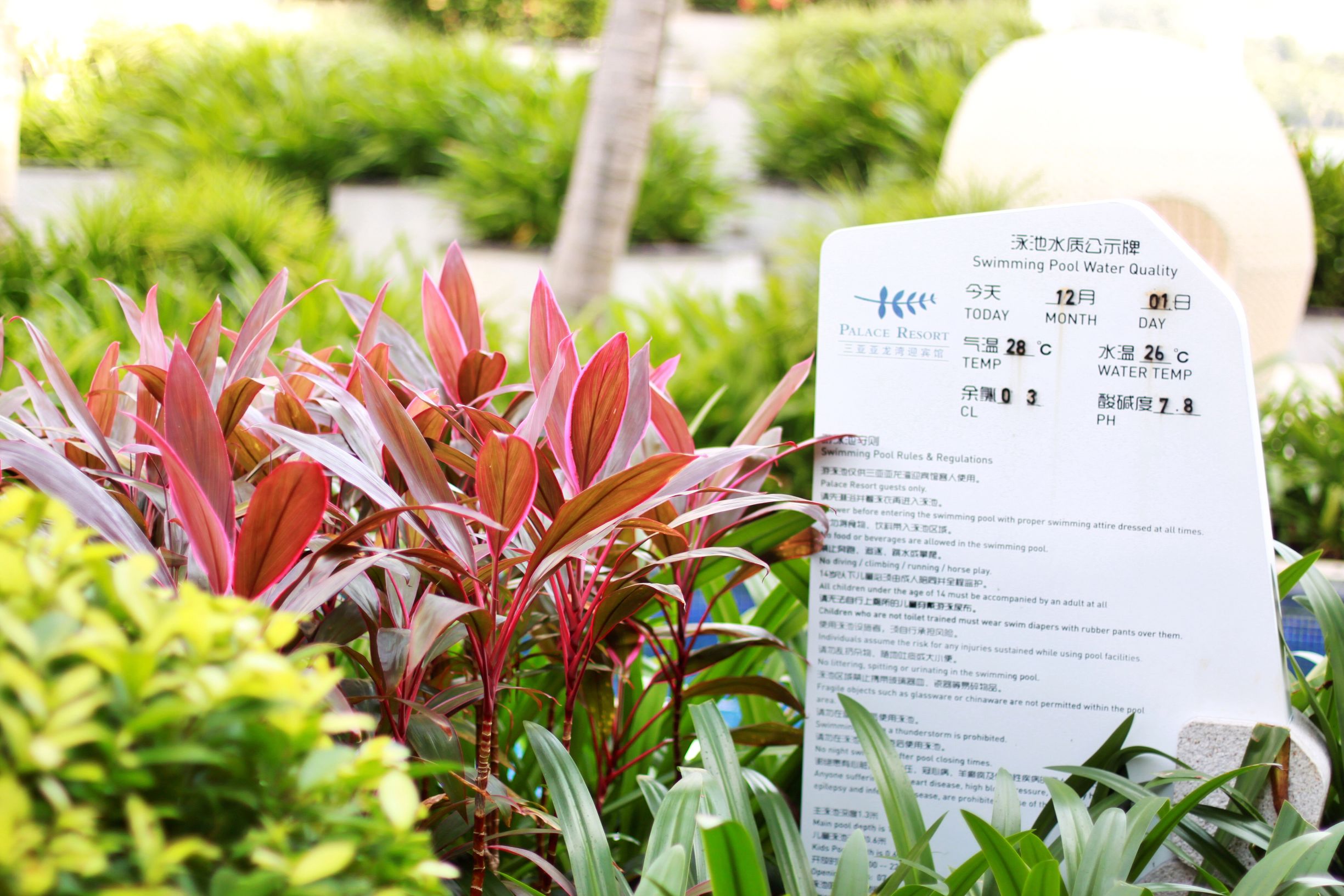 三亚度假巨无霸五天五夜玩不腻,避寒之旅三亚