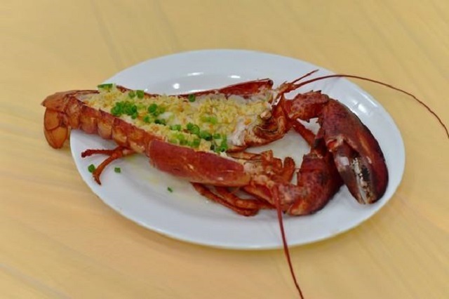 带上兜兜去旅游,带着小嘟嘟去旅游