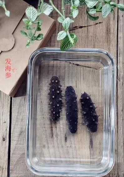 海参怎么发，发海参如此简单！六个步骤，发出标准海参