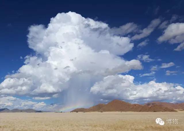 人鱼马甲两条线,人鱼线马甲线