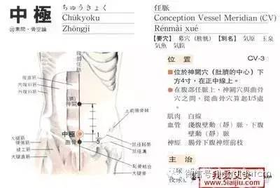 中医名家艾灸视频全集,中医艾灸知识100例
