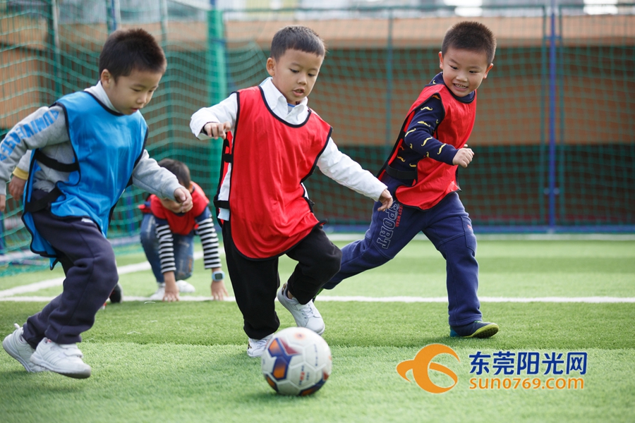 世界花式足球日快乐,世界足球日主题活动