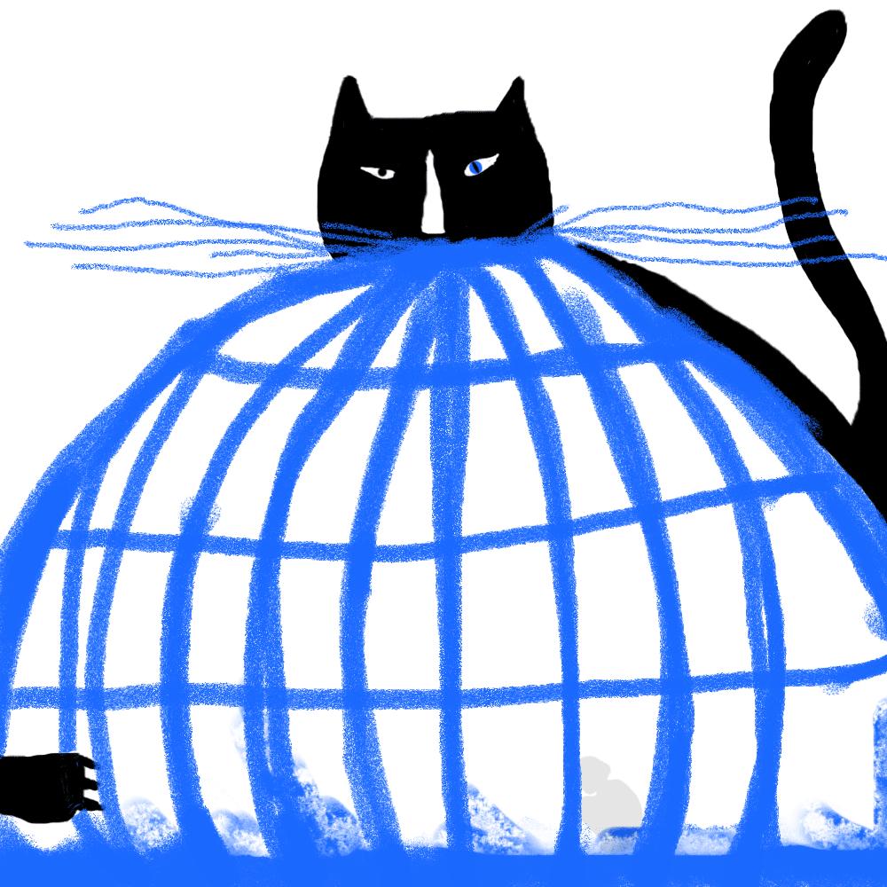 猫系女人的特征,猫系女性的魅力所在