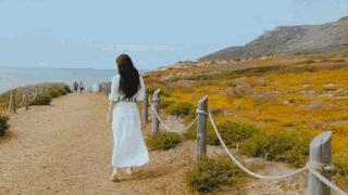 时髦旅拍神器|玩转美国这个城市看这一篇就够了私房路线干货