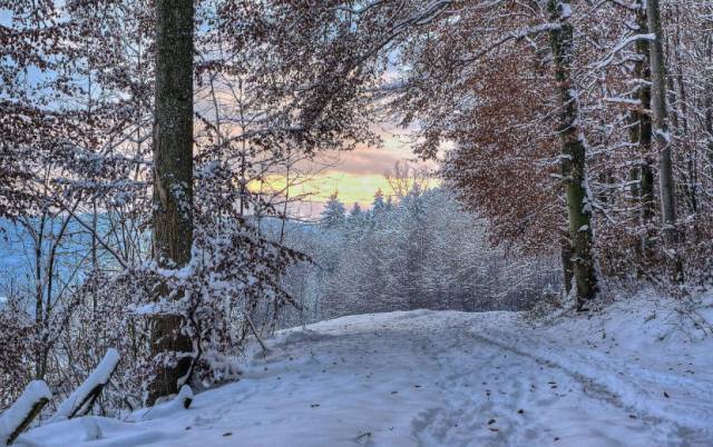 这些圣诞礼物没人送，我都愿意自己买，尤其是第1、3、4、5、6、7、8件