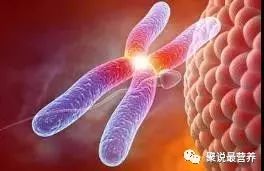 孕妇营养不好要吃什么补充呢,孕妇营养不足导致流产