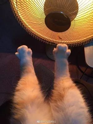 终于要回温了！准备和“冻手冻脚”的天气说byebye吧~